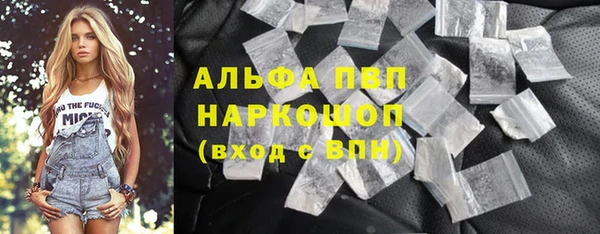 PSILOCYBIN Алзамай
