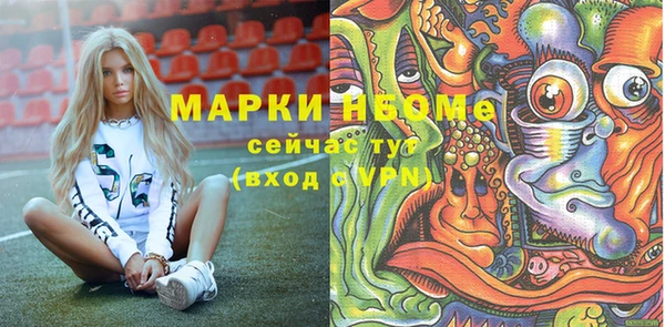 сатива Абинск