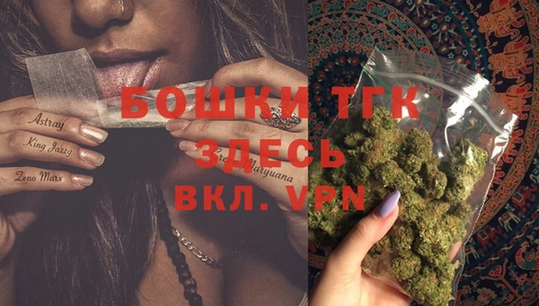 PSILOCYBIN Алзамай