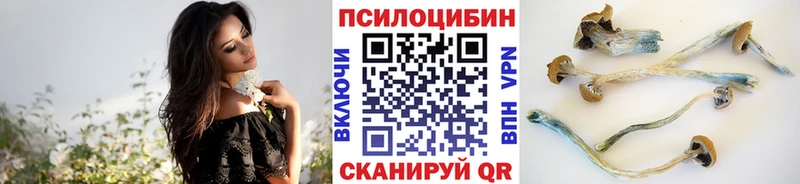 Псилоцибиновые грибы MAGIC MUSHROOMS  Красновишерск 